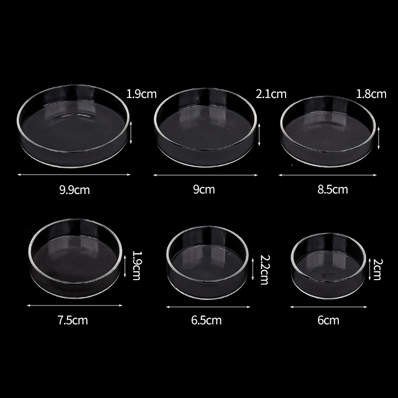 Shrimp Feeding Dish High Trans – Aquarium Fish Feeder recenzja i cena