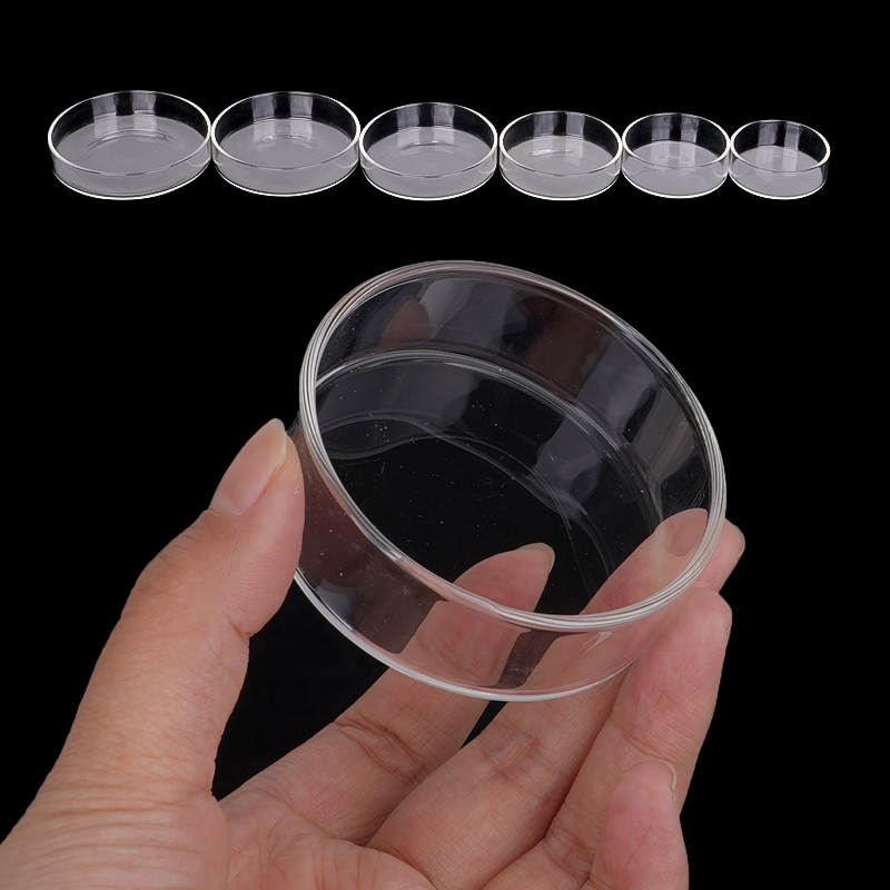 Shrimp Feeding Dish High Trans – Aquarium Fish Feeder recenzja i cena