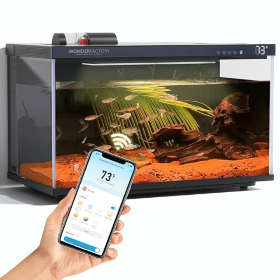Smart Aquarium 5 Gallon Glass  – Aquarium Fish Feeder recenzja i cena