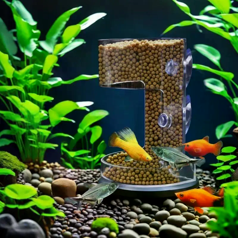 Aquarium Feeder Ring Set - Flo – Aquarium Fish Auto Feeder recenzja i cena