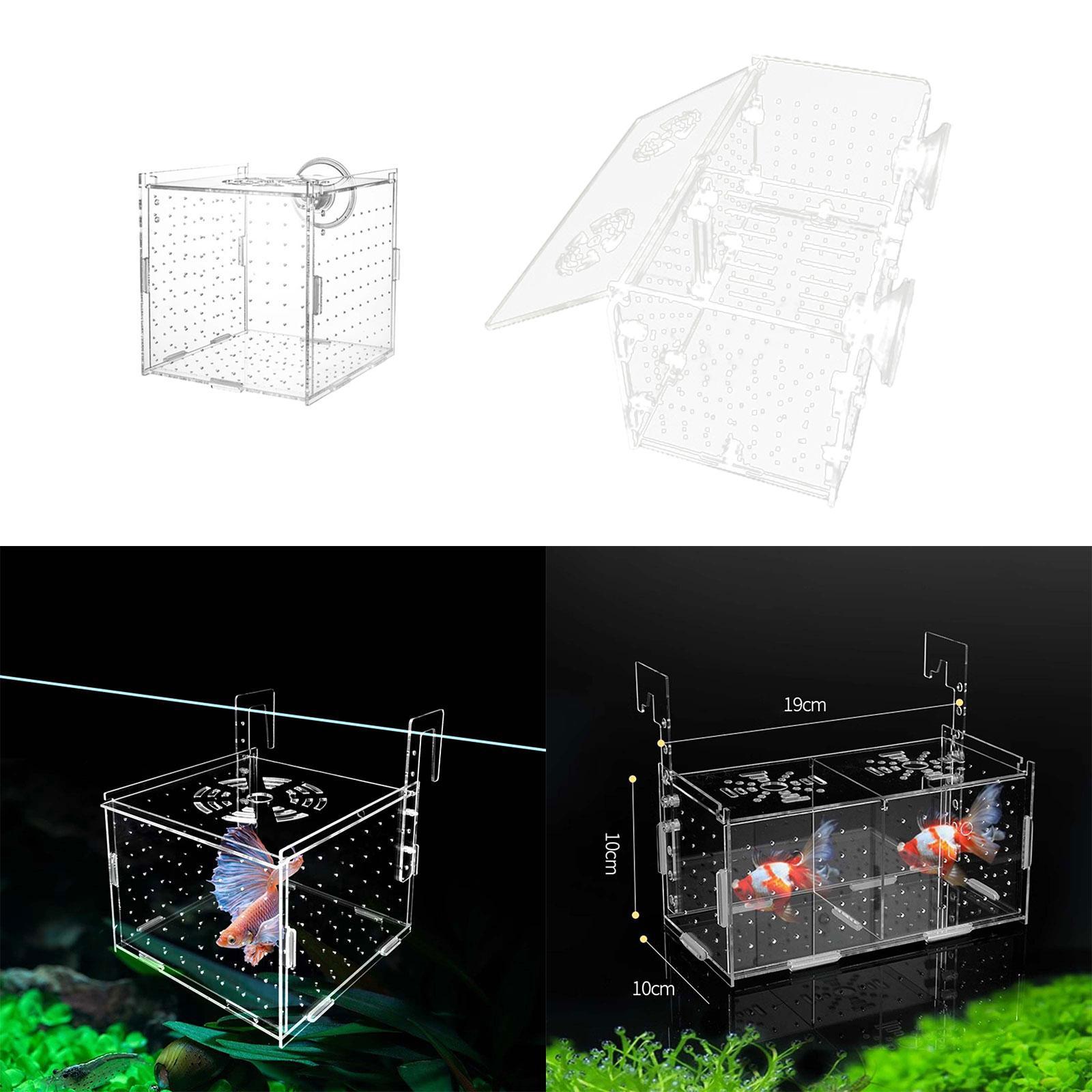 Fish Breeding Box for Aquarium – Fish Toy In Aquarium recenzja i cena