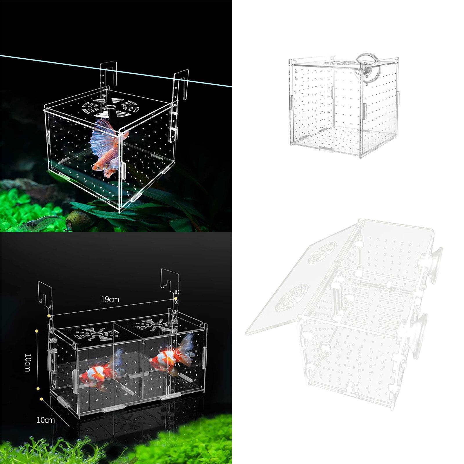 Fish Breeding Box for Aquarium – Fish Toy In Aquarium recenzja i cena