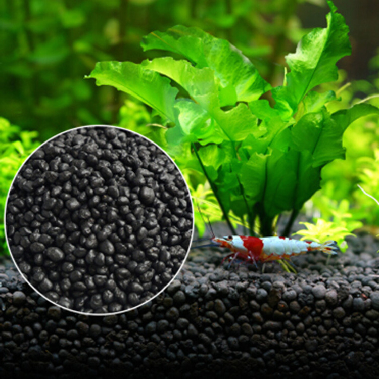 Aquarium Plant Seeds Soil Fish – Aquarium Fish Store recenzja i cena