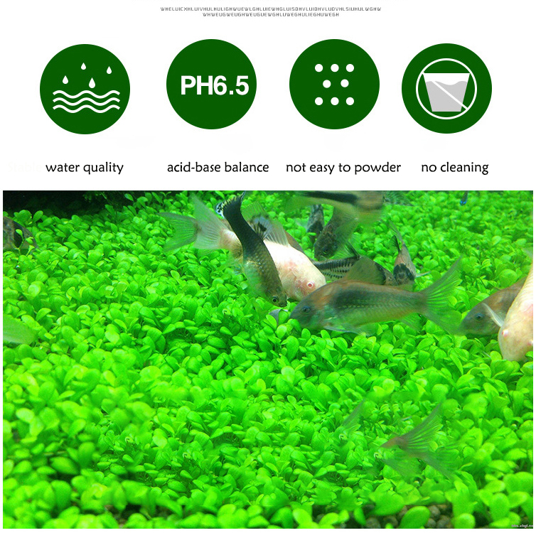 Aquarium Plant Seeds Soil Fish – Aquarium Fish Store recenzja i cena