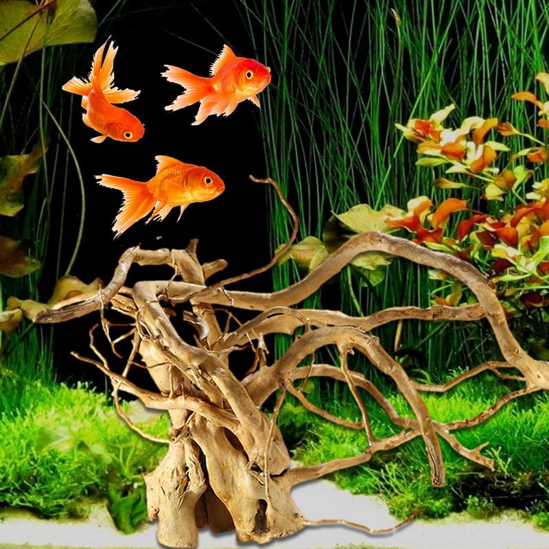 Transparent Arcylic Aquarium F – Aquarium Fish Holiday Food recenzja i cena