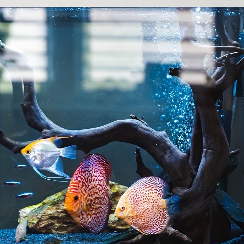 Transparent Arcylic Aquarium F – Aquarium Fish Holiday Food recenzja i cena