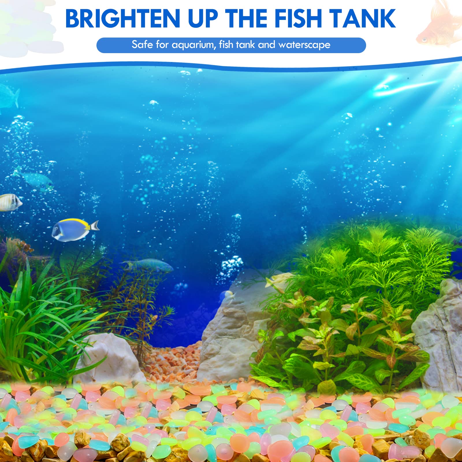 100Pcs Glow in the Dark Garden – Aquarium Fish Store recenzja i cena