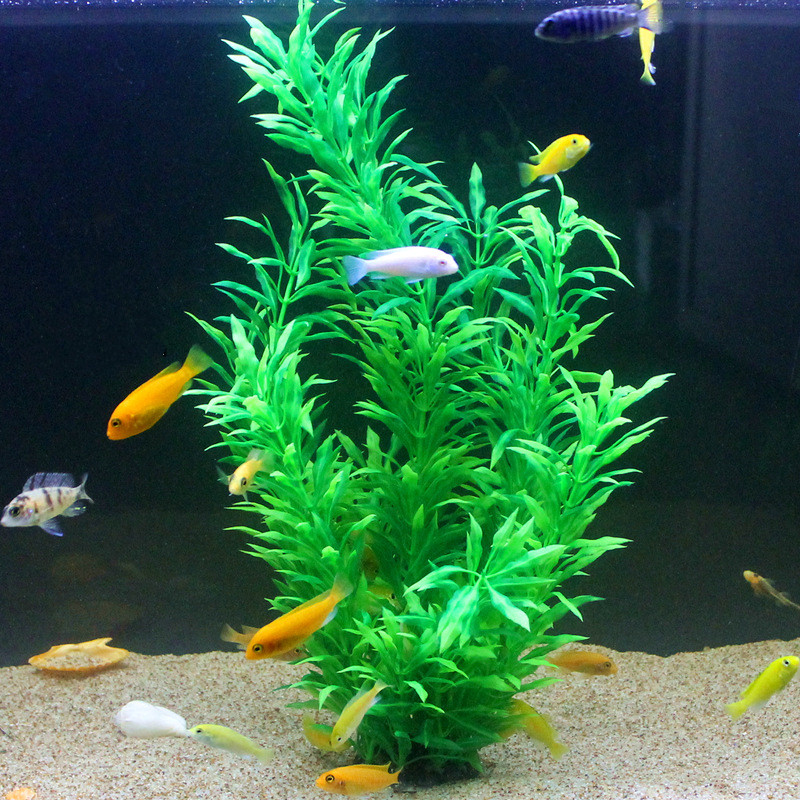 50CM Artificial Fish Tank Rare – Aquarium Fish Store recenzja i cena