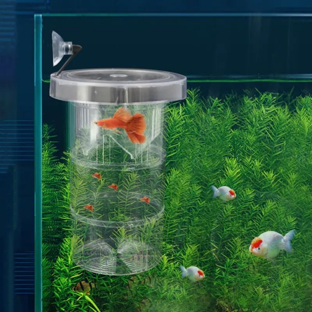 Acrylic Floating Fish Breeding – Aquarium Fish Feeder recenzja i cena
