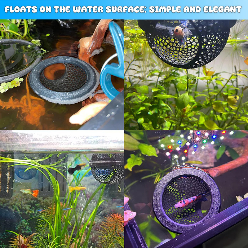 Ring FLoatinG Betta Hide Shrim – Aquarium Fish Feeder recenzja i cena
