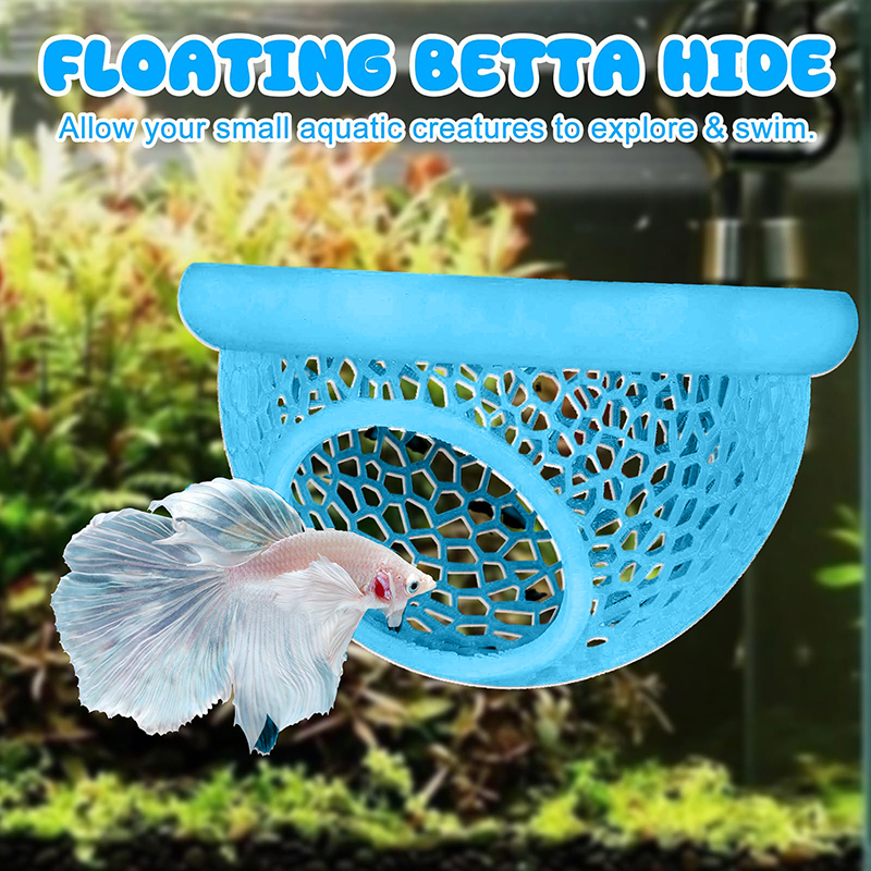 Ring FLoatinG Betta Hide Shrim – Aquarium Fish Feeder recenzja i cena