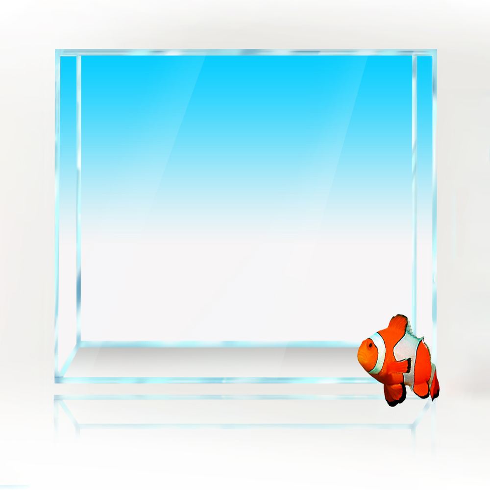 Square Fish Tank Background Wh – Aquarium Fish Yellow And Black recenzja i cena