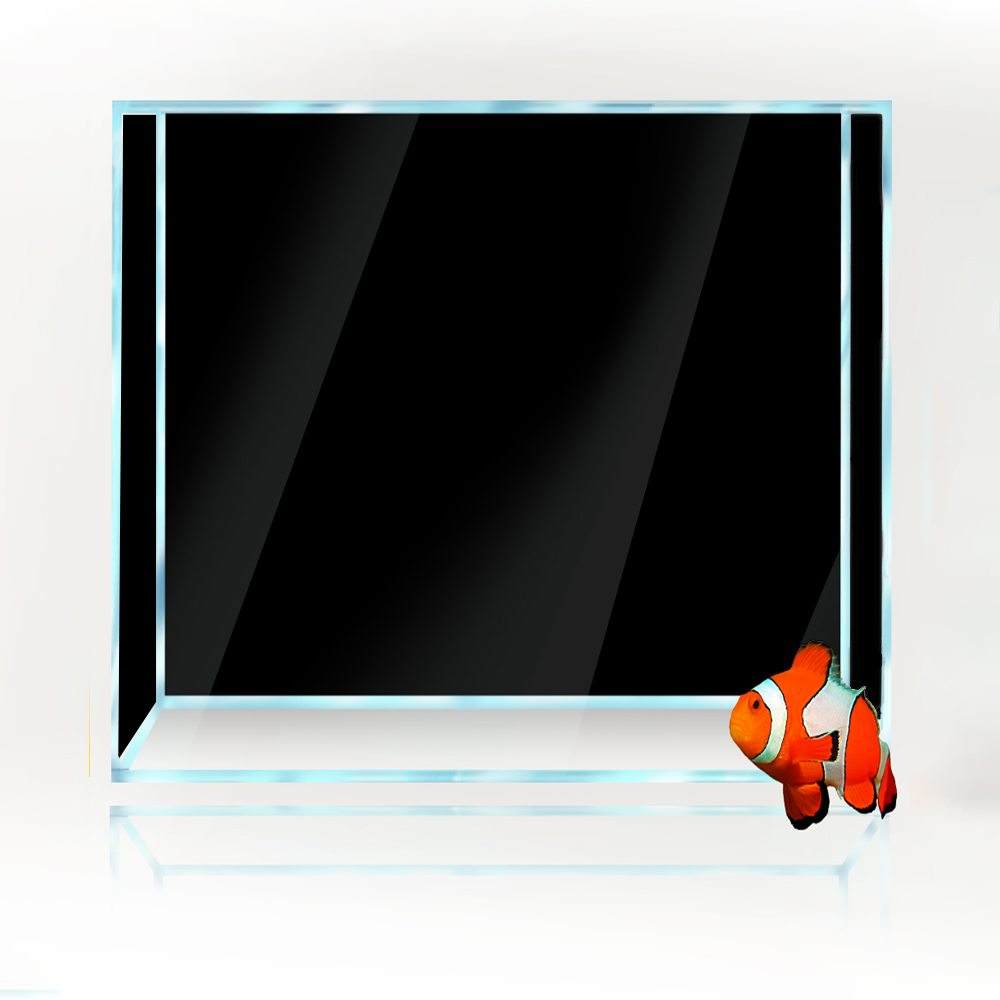 Square Fish Tank Background Wh – Aquarium Fish Yellow And Black recenzja i cena
