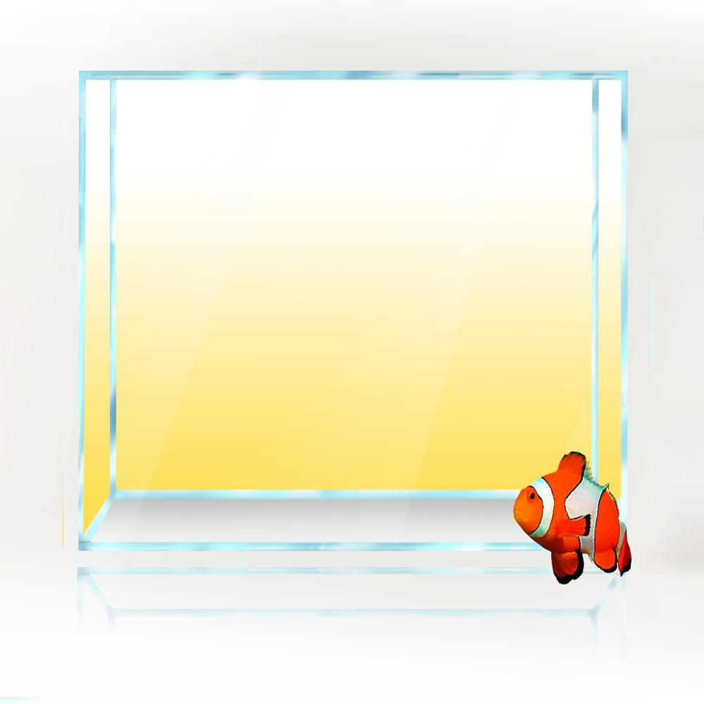 Square Fish Tank Background Wh – Aquarium Fish Yellow And Black recenzja i cena