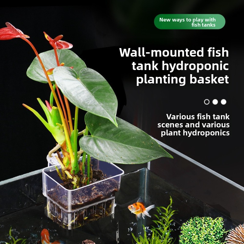 Aquarium Hydroponic Planting B – Aquarium Fish Pot recenzja i cena