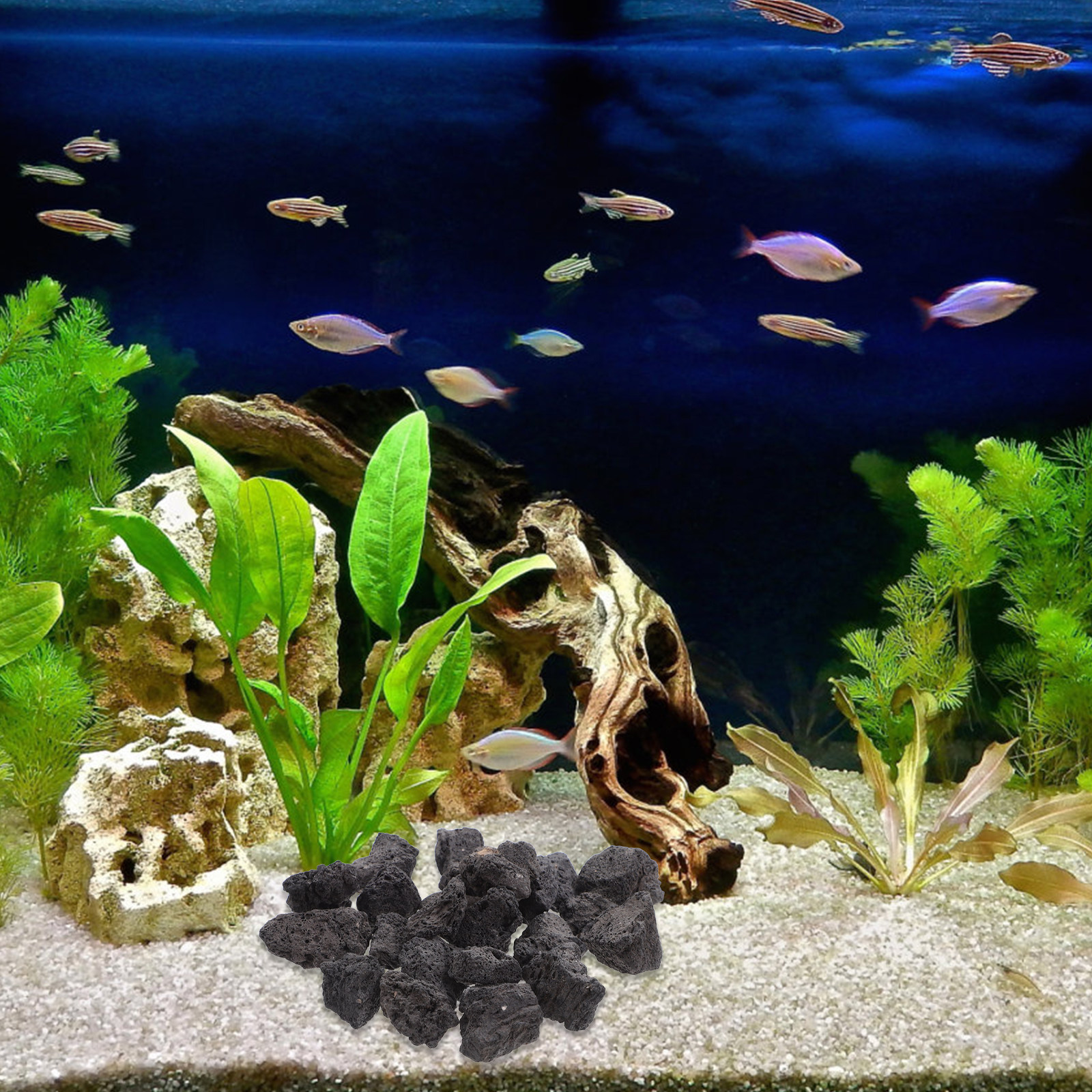 1Pack Volcanic Stone Fish Tank – Aquarium Fish Pot recenzja i cena