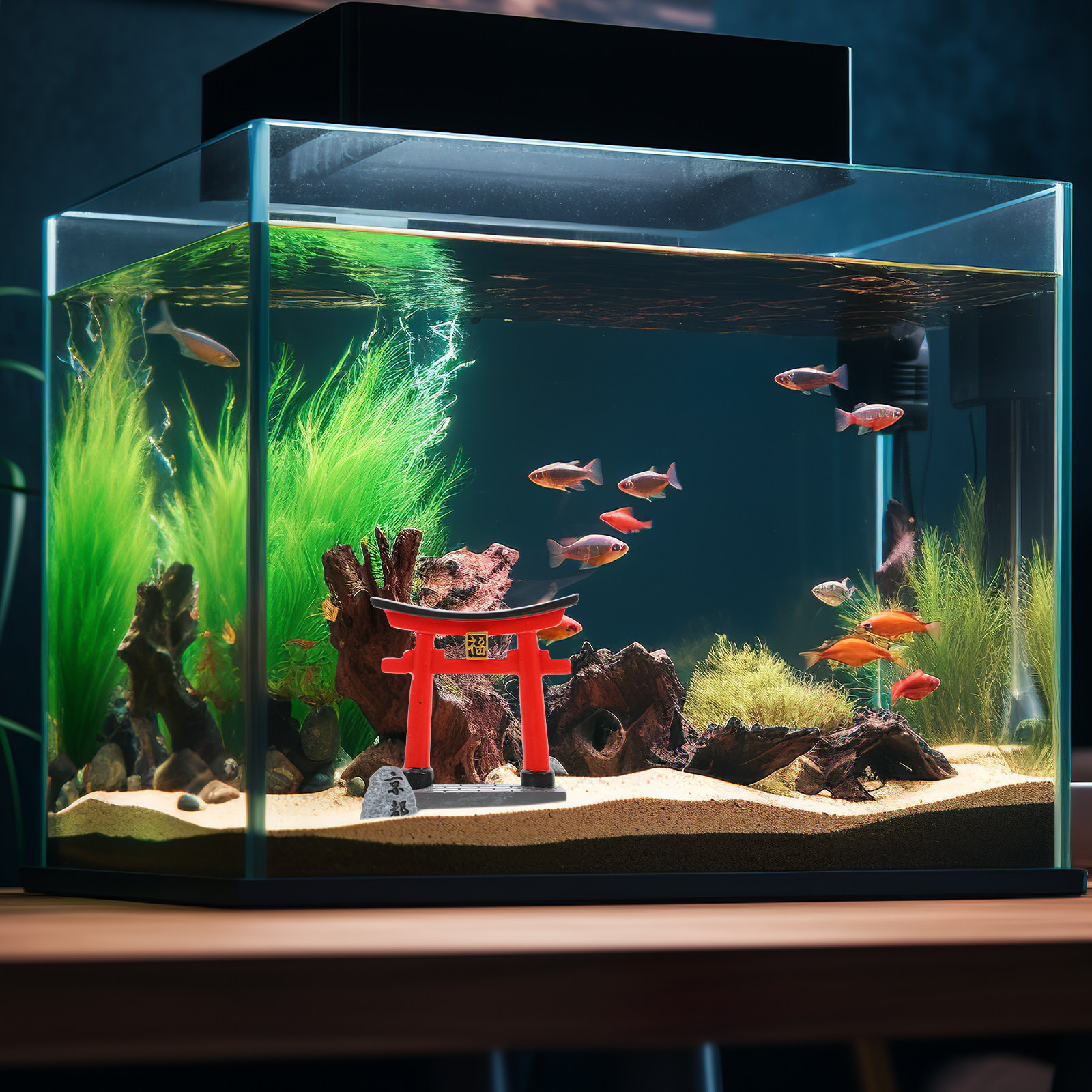 Small Traditional Japanese Tor – Aquarium Fish Japanese recenzja i cena