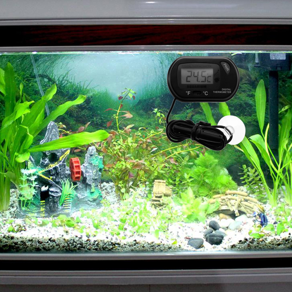 Fish Tank Thermometer Suction  – Aquarium Fish Yellow And Black recenzja i cena