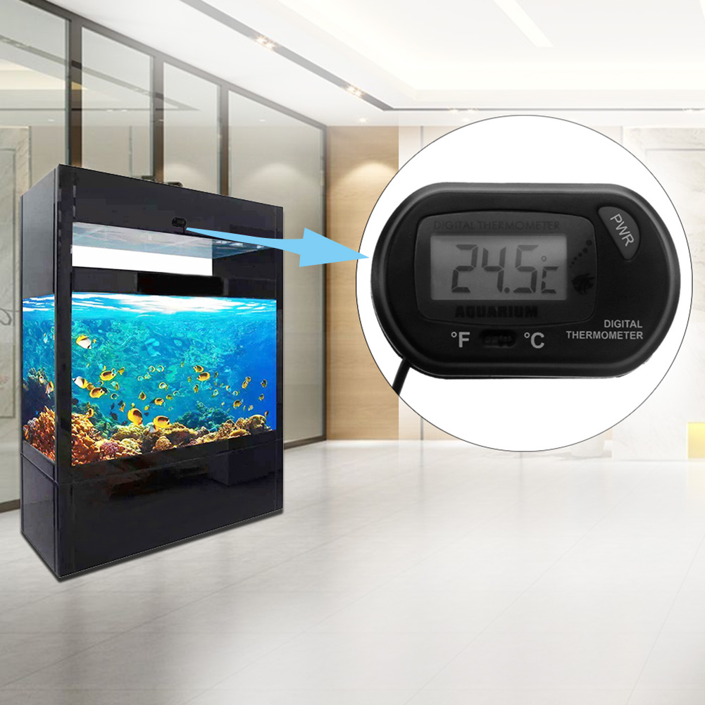 Fish Tank Thermometer Suction  – Aquarium Fish Yellow And Black recenzja i cena