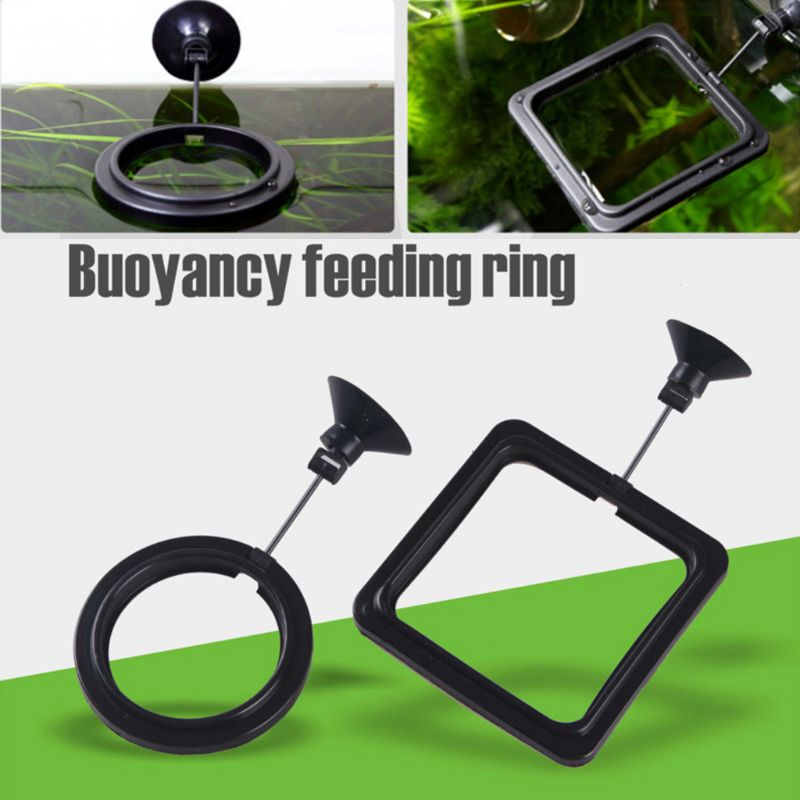 Aquarium Fish Feeding Ring Fis – Aquarium Fish Auto Feeder recenzja i cena