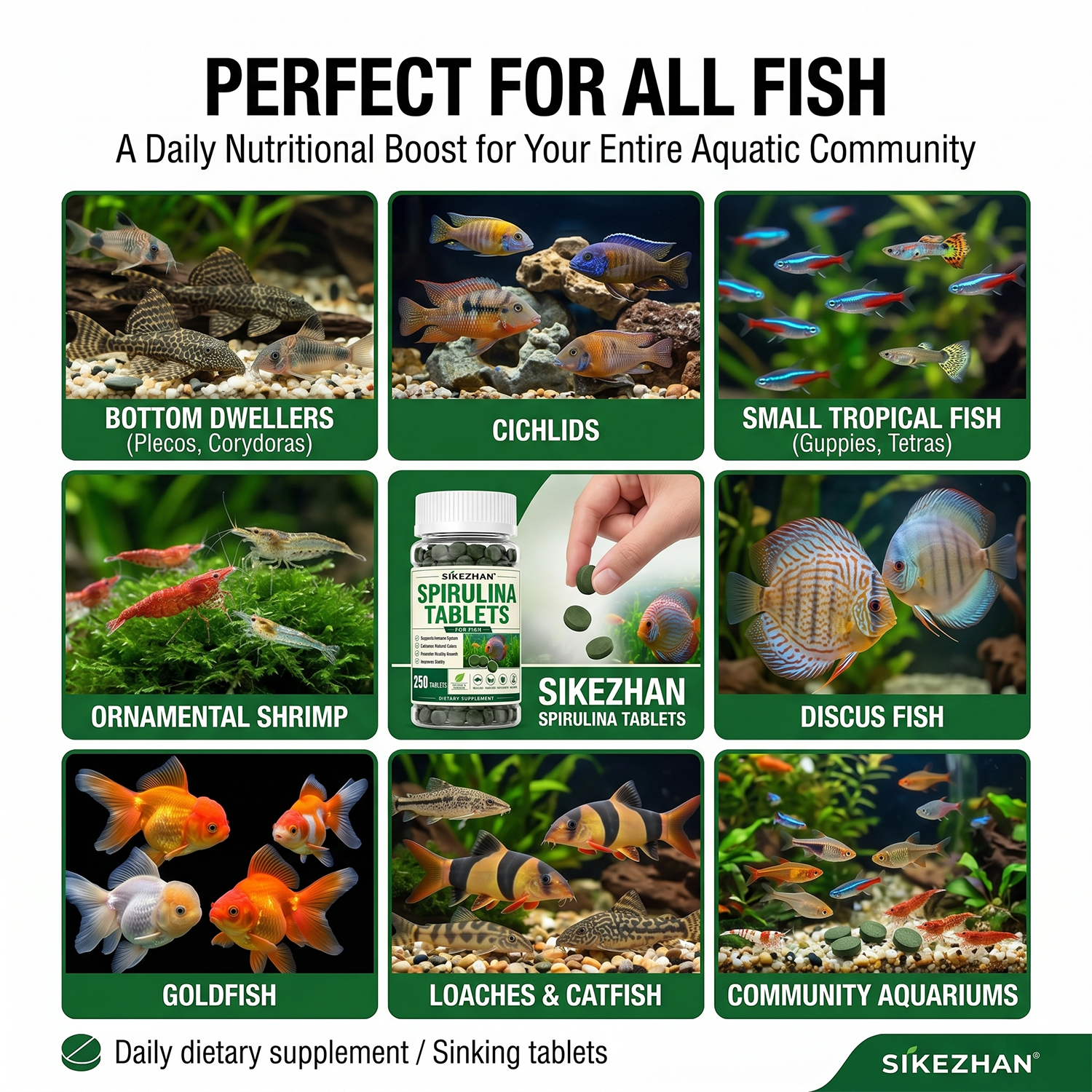 High Purity Spirulina Tablets  – Aquarium Fish Holiday Food recenzja i cena